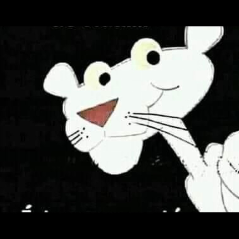 Meet your Posher, Camila